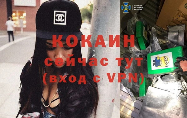 apvp Белокуриха