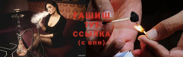 apvp Белокуриха