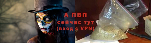 apvp Белокуриха