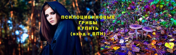 apvp Белокуриха