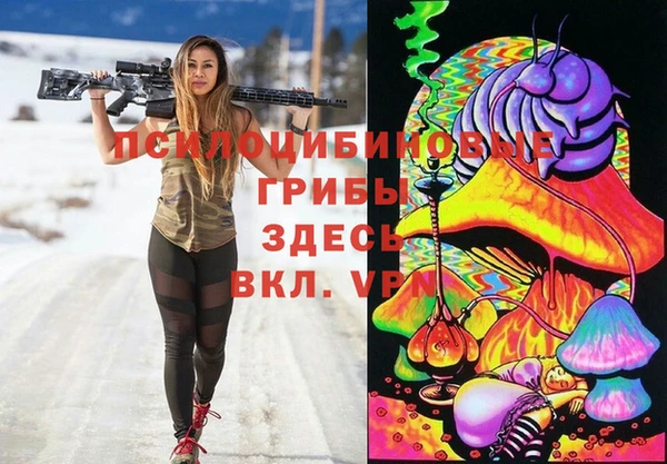 apvp Белокуриха