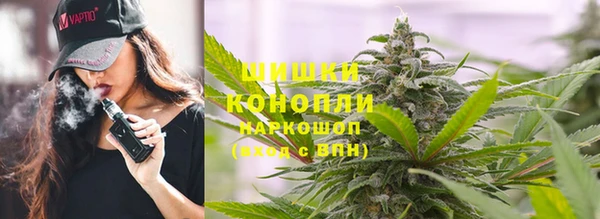 apvp Белокуриха