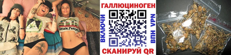 Псилоцибиновые грибы GOLDEN TEACHER  Торопец 